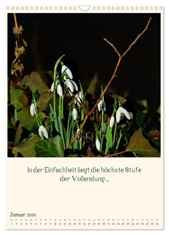Produktbild: Mit Blumen durchs Jahr (Wandkalender 2026 DIN A3 hoch), CALVENDO Monatskalender