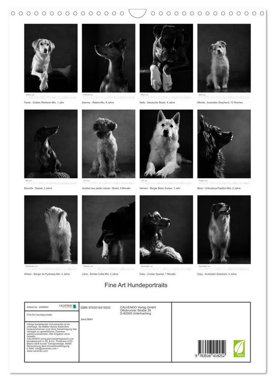 Produktbild: Fine Art Hundeportraits (Wandkalender 2026 DIN A3 hoch), CALVENDO Monatskalender