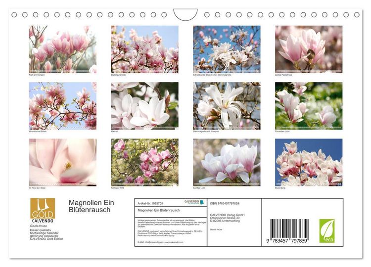 Produktbild: Magnolien Ein Bl&uuml;tenrausch (Wandkalender 2026 DIN A4 quer), CALVENDO Monatskalender