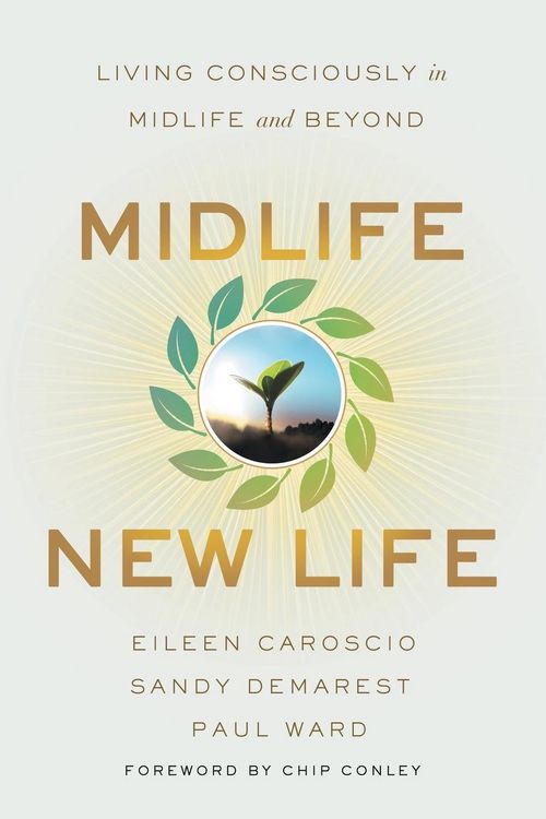 Produktbild: Midlife, New Life