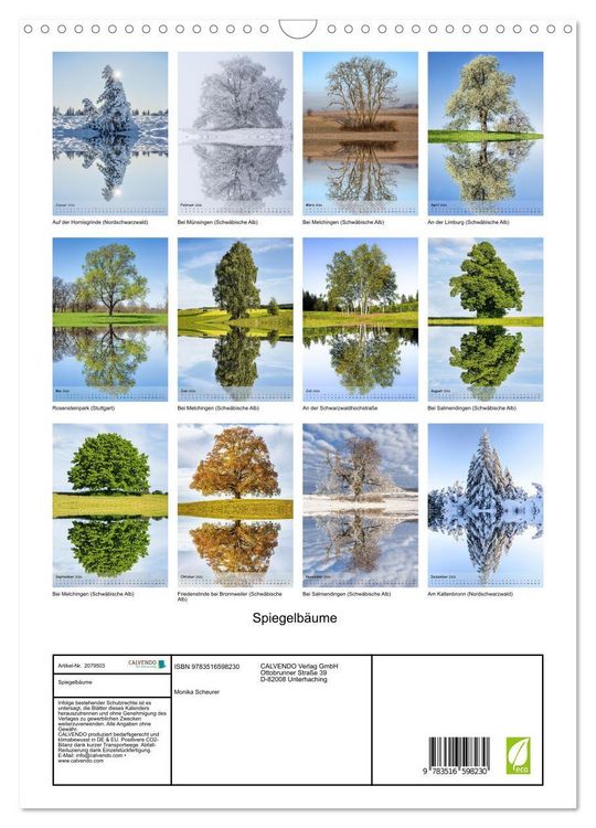 Produktbild: Spiegelb&auml;ume (Wandkalender 2026 DIN A3 hoch), CALVENDO Monatskalender