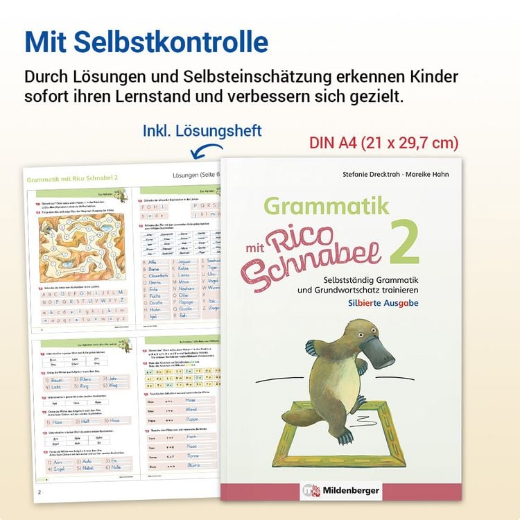 Produktbild: Grammatik mit Rico Schnabel, Klasse 2 - silbierte Ausgabe