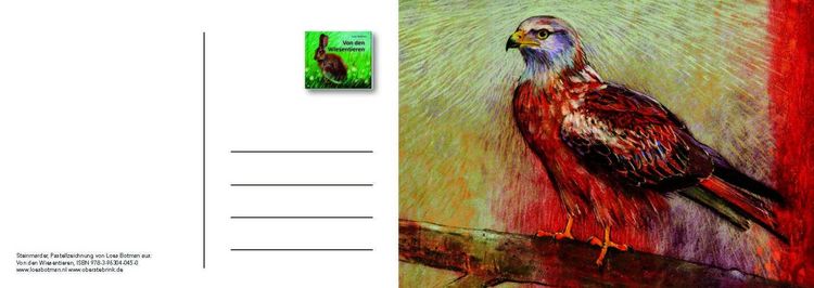 Produktbild: Von den Wiesentieren &ndash; Ein Postkartenbuch