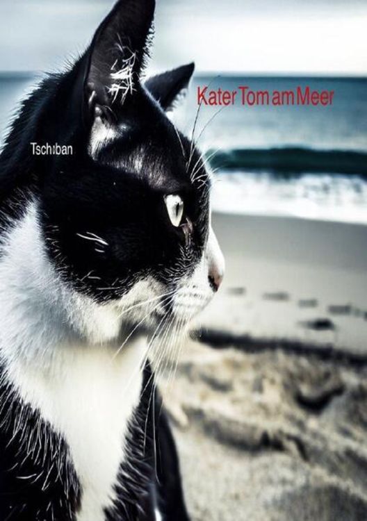 Produktbild: Kater Tom / Kater Tom am Meer