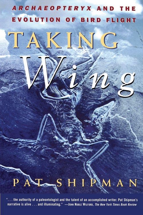 Produktbild: Taking Wing