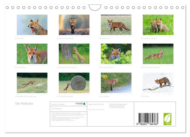 Produktbild: Der Rotfuchs (Wandkalender 2026 DIN A4 quer), CALVENDO Monatskalender