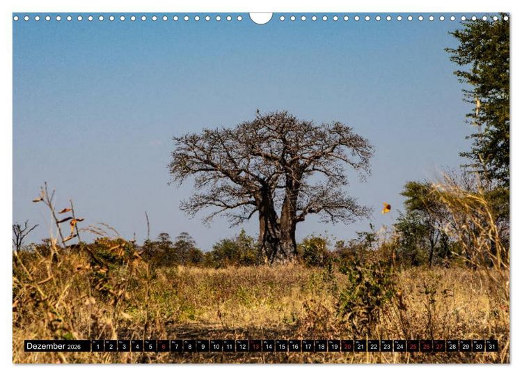 Produktbild: Sambia "Das wirkliche Afrika" (Wandkalender 2026 DIN A3 quer), CALVENDO Monatskalender