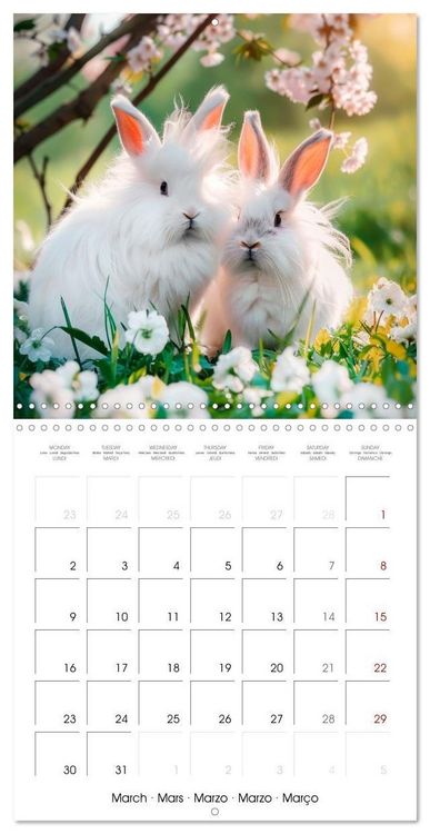 Produktbild: RABBITS Cuddly little guys (Wall Calendar 2026 12 &times; 12 Inch) CALVENDO 12 Month Wall Calendar