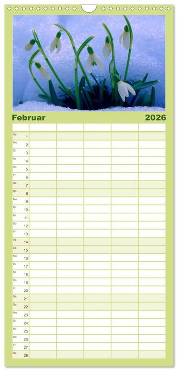 Produktbild: Familienplaner 2026 - Wildblumen 2026 mit 5 Spalten (Wandkalender, 21 x 45 cm) CALVENDO