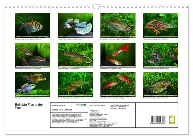 Produktbild: Beliebte Fische der Welt (Wandkalender 2027 DIN A3 quer), CALVENDO Monatskalender