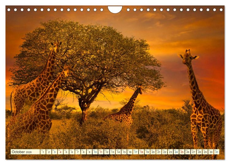 Produktbild: Fantastic Kenya (Wall Calendar 2026 DIN A4 landscape), CALVENDO 12 Month Wall Calendar