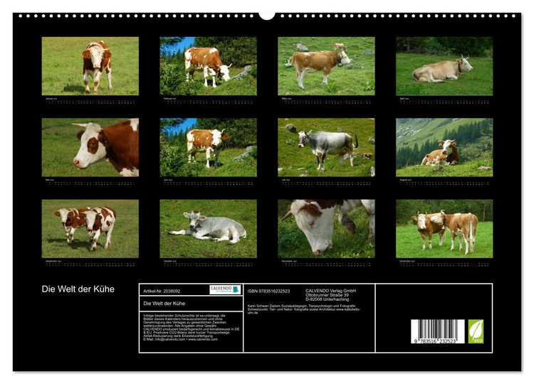 Produktbild: Die Welt der K&uuml;he (hochwertiger Premium Wandkalender 2026 DIN A2 quer), Kunstdruck in Hochglanz