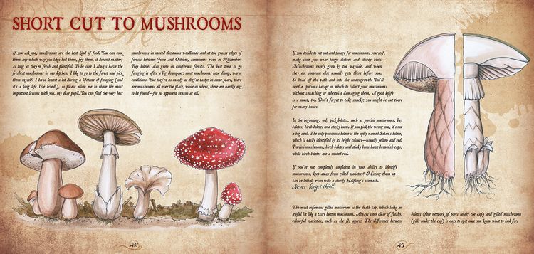 Produktbild: Recipes from the Shirefolk