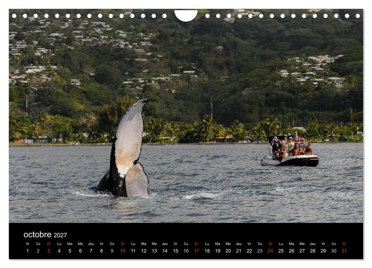 Produktbild: Polyn&eacute;sie fran&ccedil;aise - Magie des &icirc;les (Calendrier mural 2027 DIN A4 vertical), CALVENDO calendrier mensuel