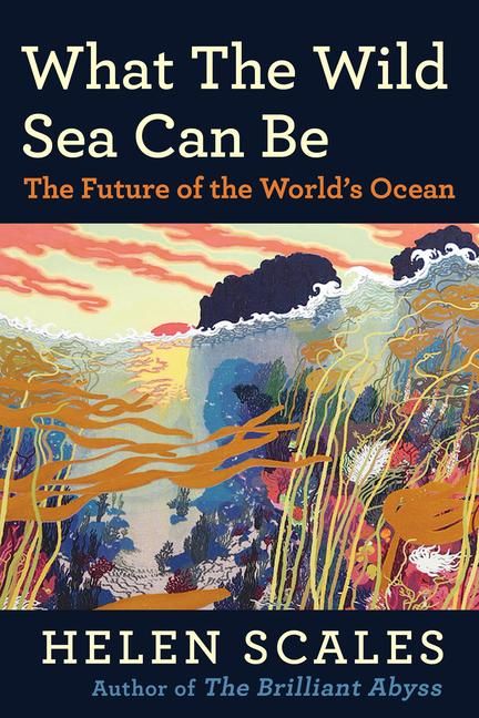 Produktbild: What the Wild Sea Can Be