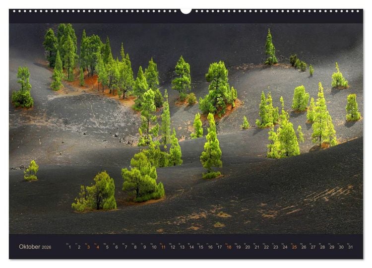 Produktbild: wildes La Palma (Wandkalender 2026 DIN A2 quer), CALVENDO Monatskalender