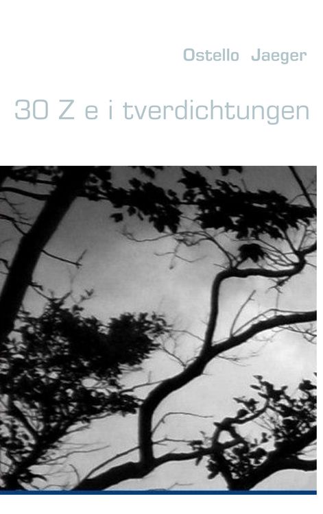 Produktbild: 30 Z e i tverdichtungen