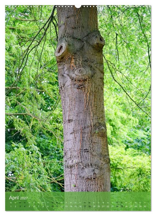Produktbild: Geister im Wald 2027 (Wandkalender 2027 DIN A2 hoch), CALVENDO Monatskalender