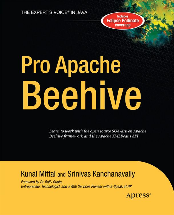 Produktbild: Pro Apache Beehive