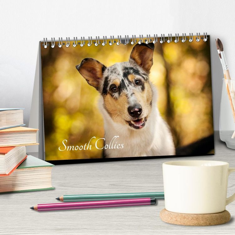 Produktbild: Smooth Collies (Tischkalender 2026 DIN A5 quer), CALVENDO Monatskalender