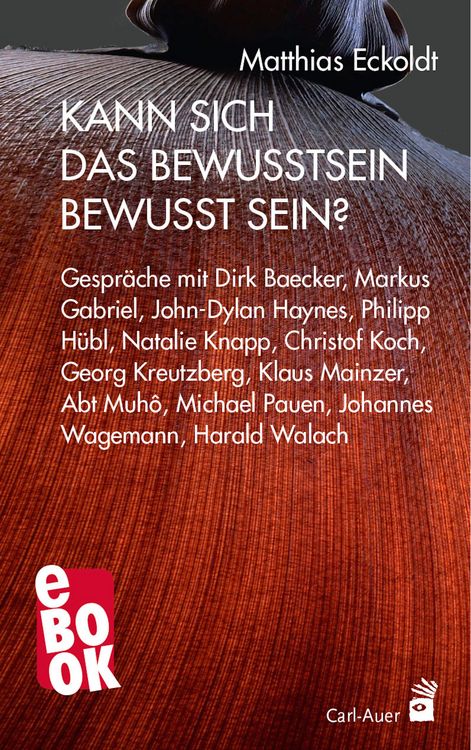 Produktbild: Kann sich das Bewusstsein bewusst sein?