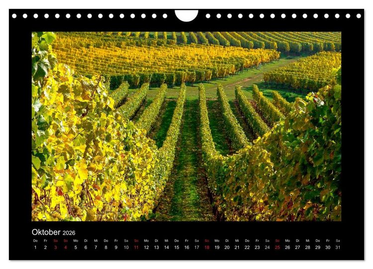 Produktbild: Wein - Reben, Wingerte und historische Weinkeller (Wandkalender 2026 DIN A4 quer), CALVENDO Monatskalender