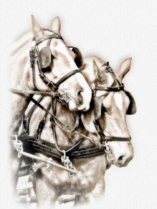 Produktbild: CALVENDO Puzzle Equestrian Kunst | 1000 Teile Lege-Gr&ouml;&szlig;e 64x48cm Foto-Puzzle f&uuml;r gl&uuml;ckliche Stunden