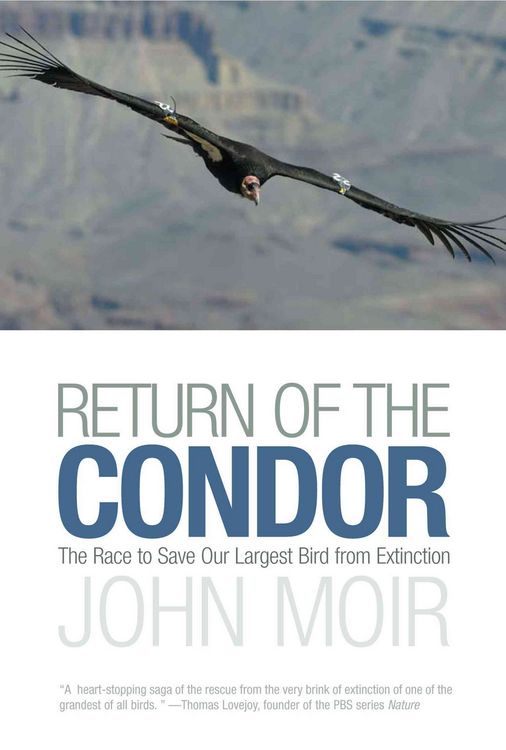 Produktbild: Return of the Condor