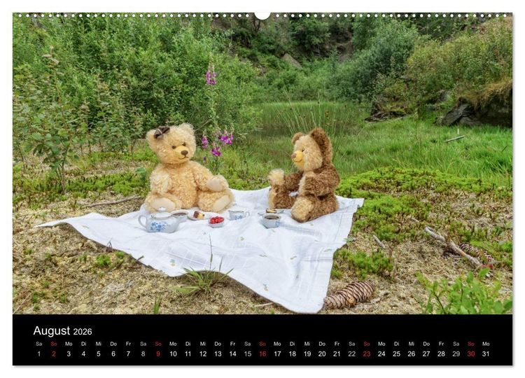 Produktbild: Martin B&auml;ren (hochwertiger Premium Wandkalender 2026 DIN A2 quer), Kunstdruck in Hochglanz