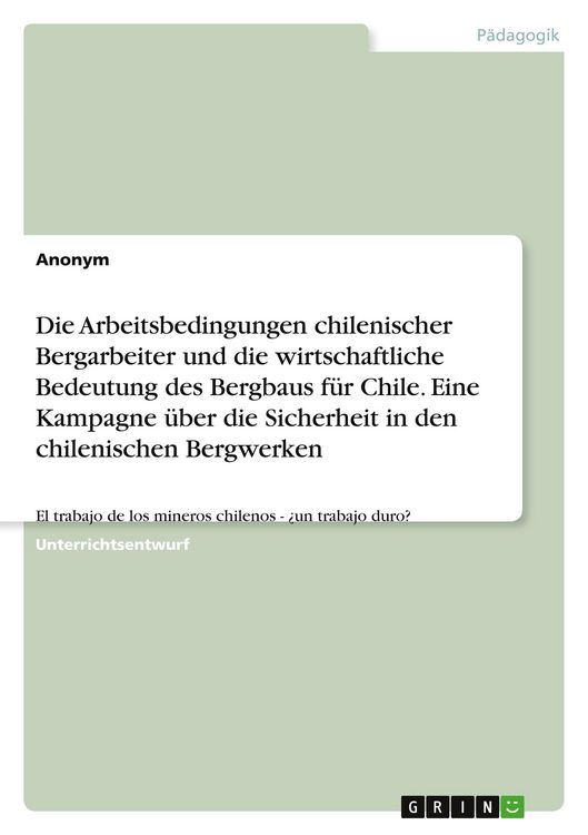 Produktbild: Die Arbeitsbedingungen chilenischer Bergarbeiter und die wirtschaftliche Bedeutung des Bergbaus f&uuml;r Chile. Eine Kampagne &uuml;ber die Sicherheit in den chilenischen Bergwerken