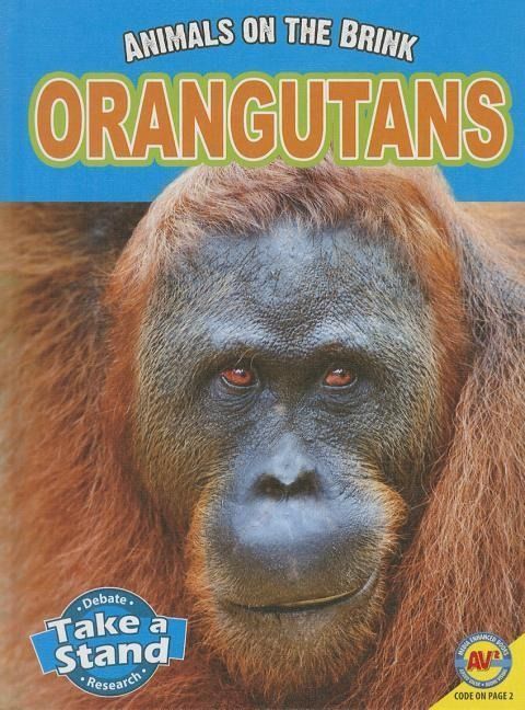 Produktbild: Orangutans