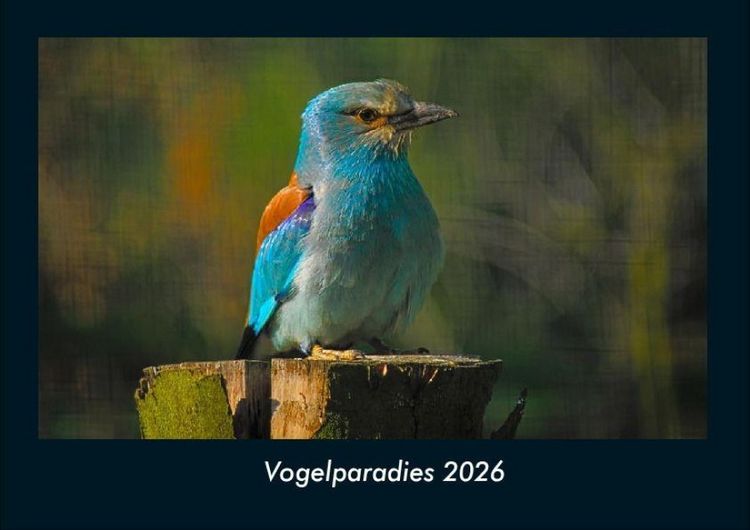 Produktbild: Vogelparadies 2026 Fotokalender DIN A4