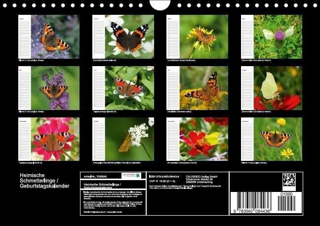 Produktbild: Heimische Schmetterlinge / Geburtstagskalender (Wandkalender immerw&auml;hrend DIN A4 quer)
