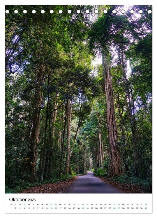 Produktbild: Regenwald - Australien (Tischkalender 2026 DIN A5 hoch), CALVENDO Monatskalender