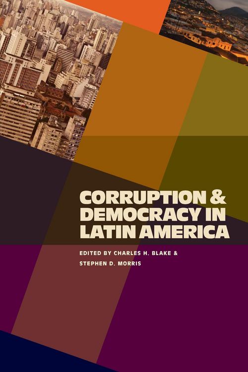Produktbild: Corruption and Democracy in Latin America