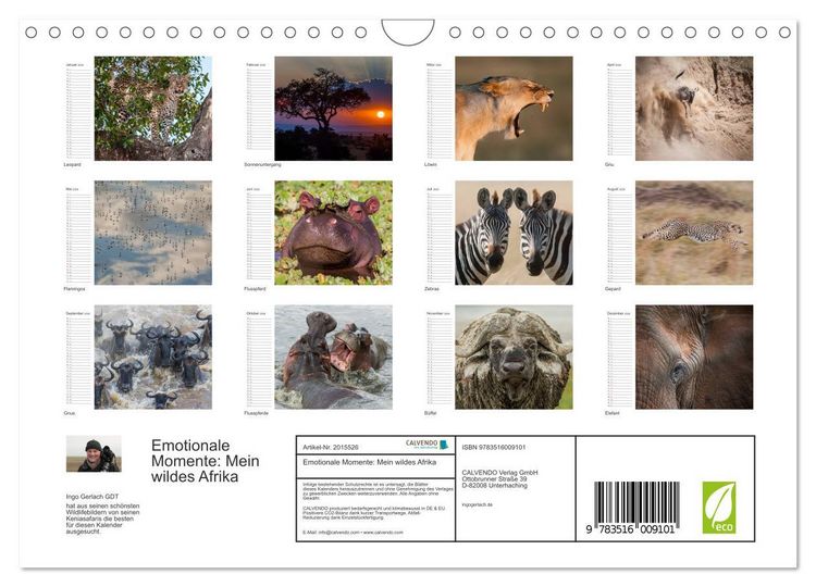 Produktbild: Emotionale Momente: Mein wildes Afrika (Wandkalender 2026 DIN A4 quer), CALVENDO Monatskalender