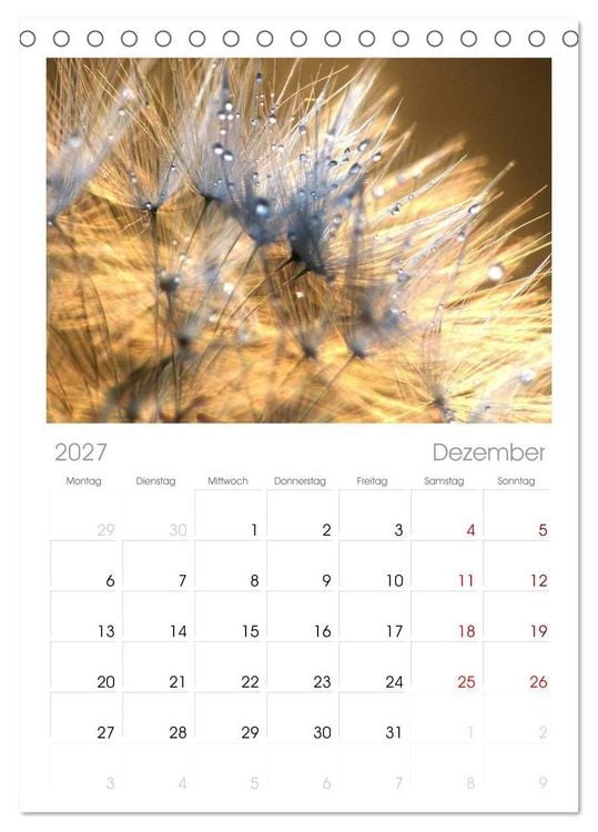 Produktbild: Tischplaner 2027 - Naturjuwel Pusteblume (A5 Tischkalender zum Aufstellen) CALVENDO