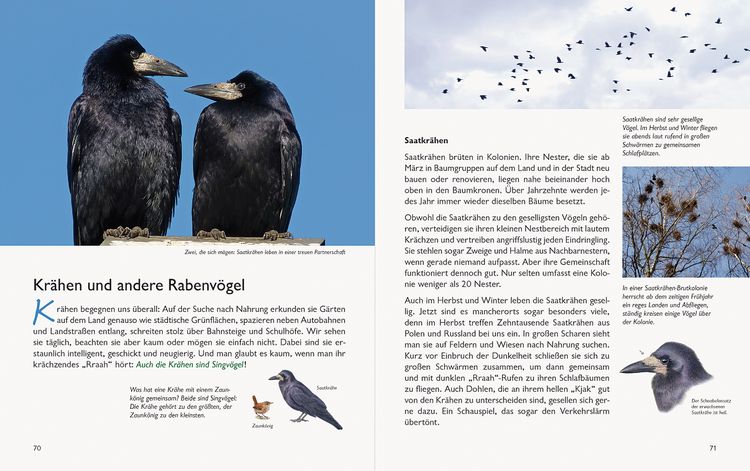 Produktbild: Wawra's Naturbuch &ndash; Unserer Natur auf der Spur, Bd. 1: S&auml;ugetiere, V&ouml;gel, Reptilien, Amphibien
