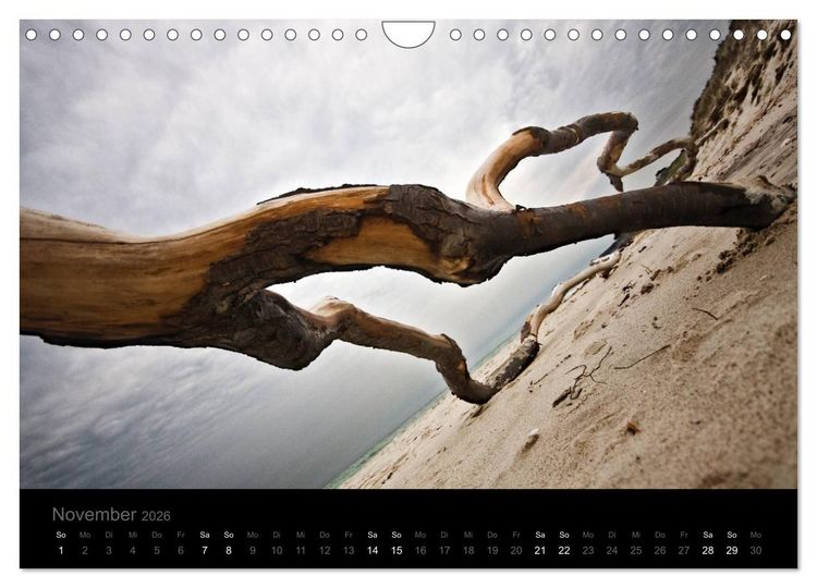 Produktbild: Natur im Detail (Wandkalender 2026 DIN A4 quer), CALVENDO Monatskalender