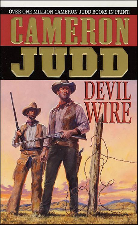Produktbild: Devil Wire