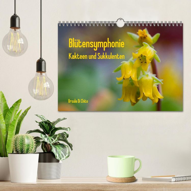 Produktbild: Bl&uuml;tensymphonie - Kakteen und Sukkulenten (Wandkalender 2026 DIN A4 quer), CALVENDO Monatskalender