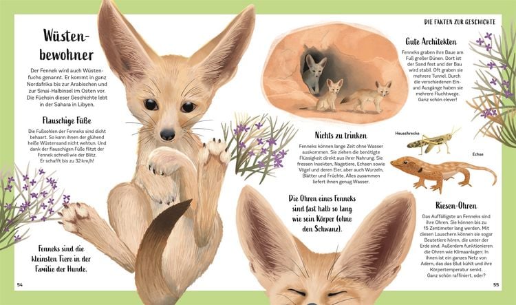 Produktbild: Tiergeschichten zum Tr&auml;umen. Zauber der Nacht