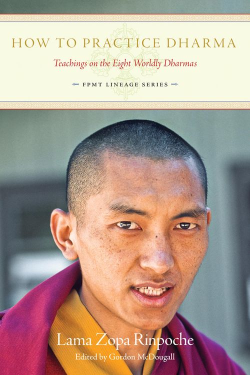 Produktbild: How To Practice Dharma: Teachings on the Eight Worldly Dharmas (FPMT Lineage, #2)