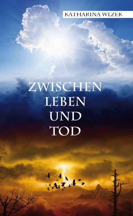 Produktbild: Zwischen Leben und Tod