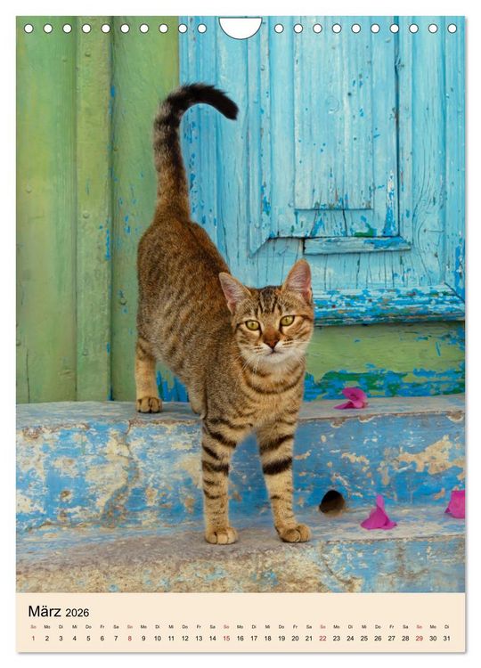 Produktbild: Katzen von Rhodos (Wandkalender 2026 DIN A4 hoch), CALVENDO Monatskalender