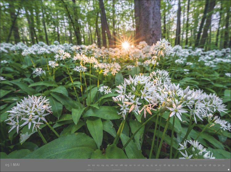 Produktbild: Deutsche Nationalparks - Edition Alexander von Humboldt Kalender 2027