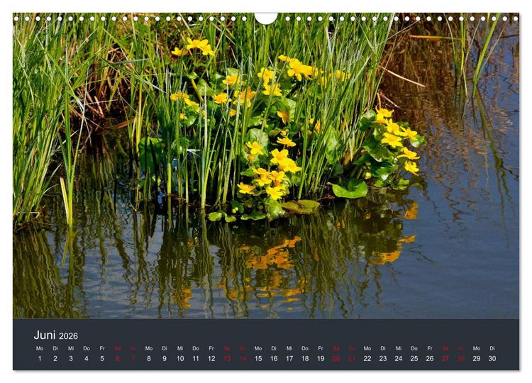 Produktbild: Heimat im Bremer Blockland (Wandkalender 2026 DIN A3 quer), CALVENDO Monatskalender