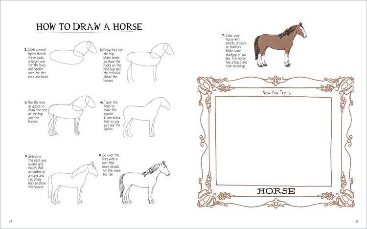 Produktbild: Julia Rothman's Farm Anatomy Activity Book