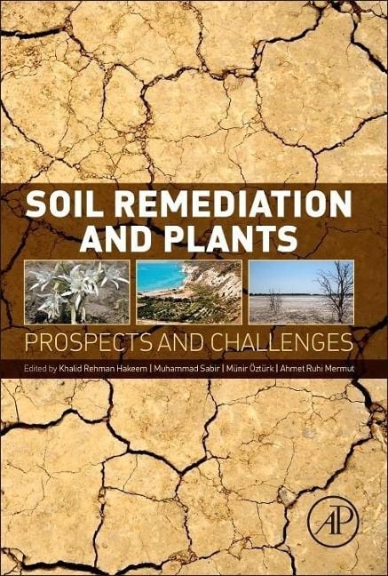 Produktbild: Soil Remediation and Plants