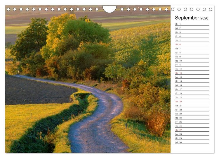Produktbild: DER STEIGERWALD - Impressionen einer Landschaft (Wandkalender 2026 DIN A4 quer), CALVENDO Monatskalender